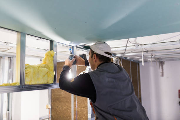 Best Blown-in Insulation in Eden Isle, LA