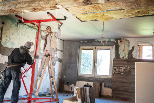 Best Geographic-Specific Insulation Services in Eden Isle, LA