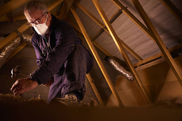 Types of Insulation We Offer in Eden Isle, LA